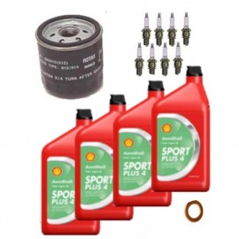 KIT MANTENIMIENTO PARA ROTAX 912 100cv.